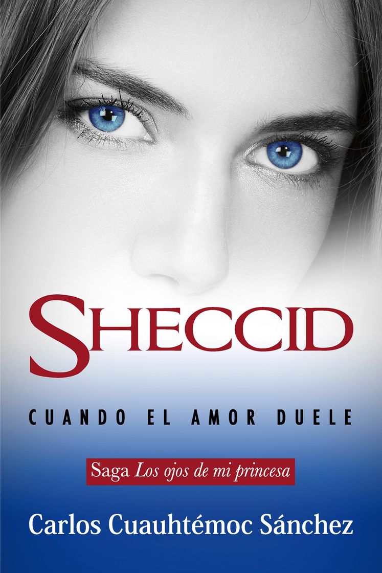 Libro Sheccid: Cuando el amor duele