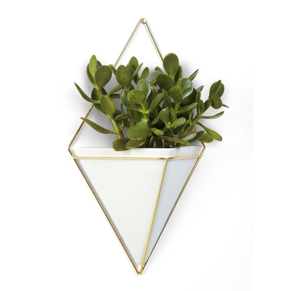 Fashion Trigg hanging planter