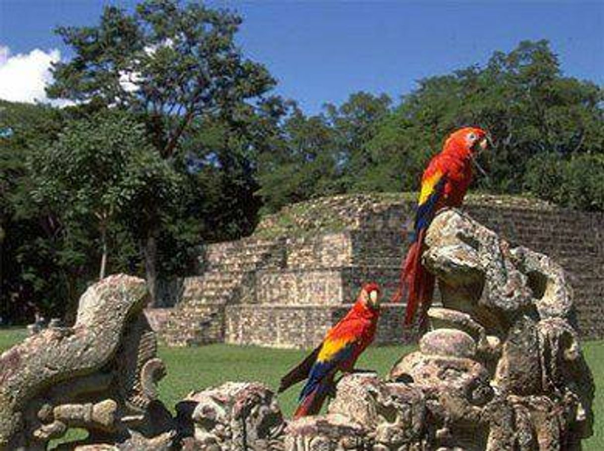 Place Copán Ruinas