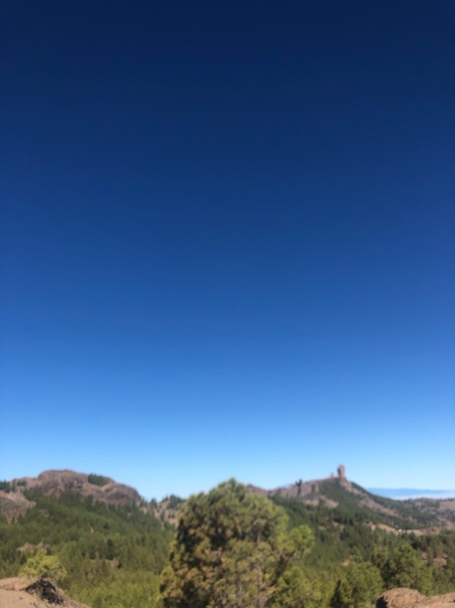 Place Roque Nublo