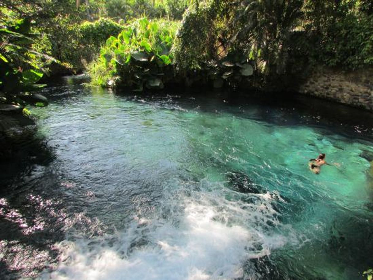 Lugar Las Estacas Parque Natural