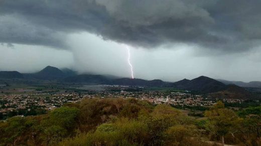 Mascota Jalisco