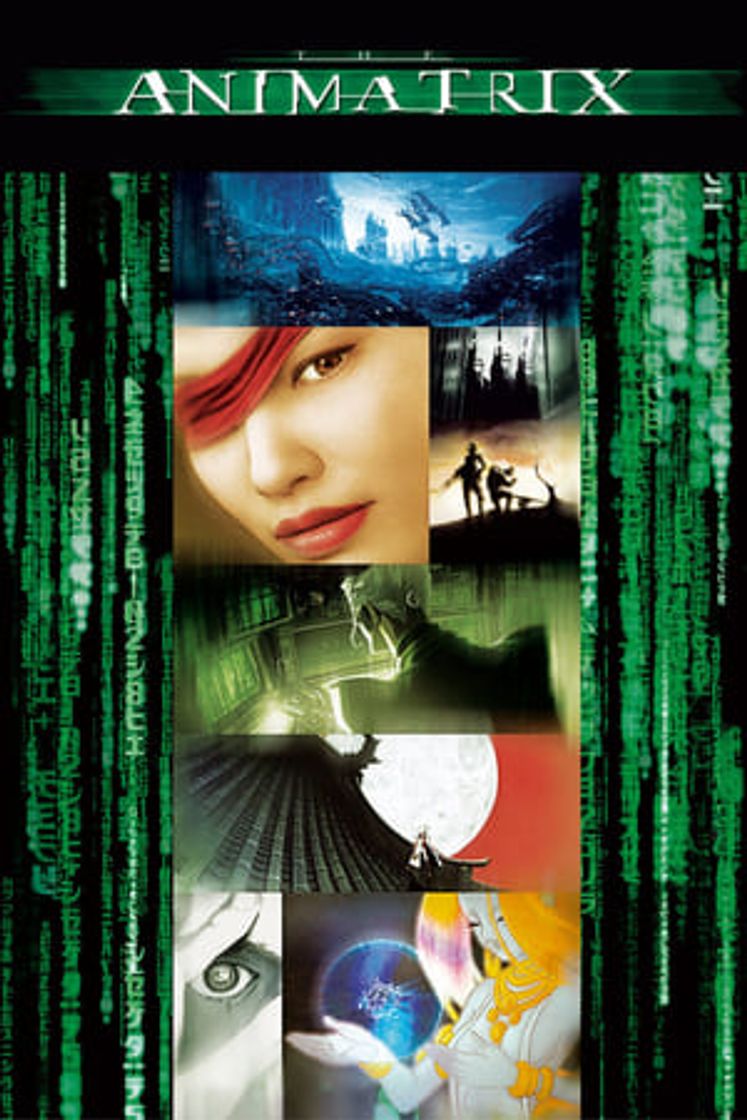 Película Animatrix: Historia del chico