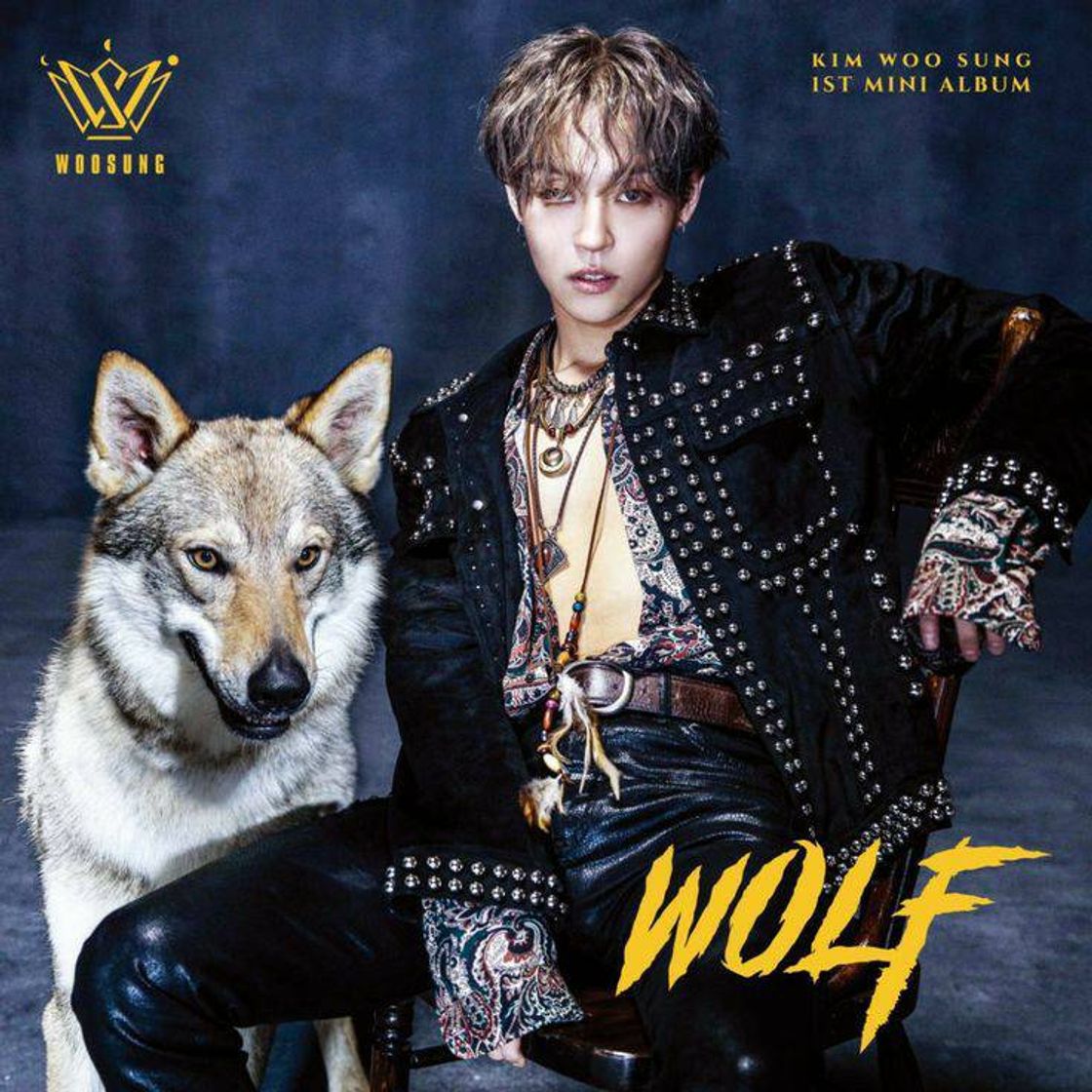 Moda Álbum WOLF - Woosung 