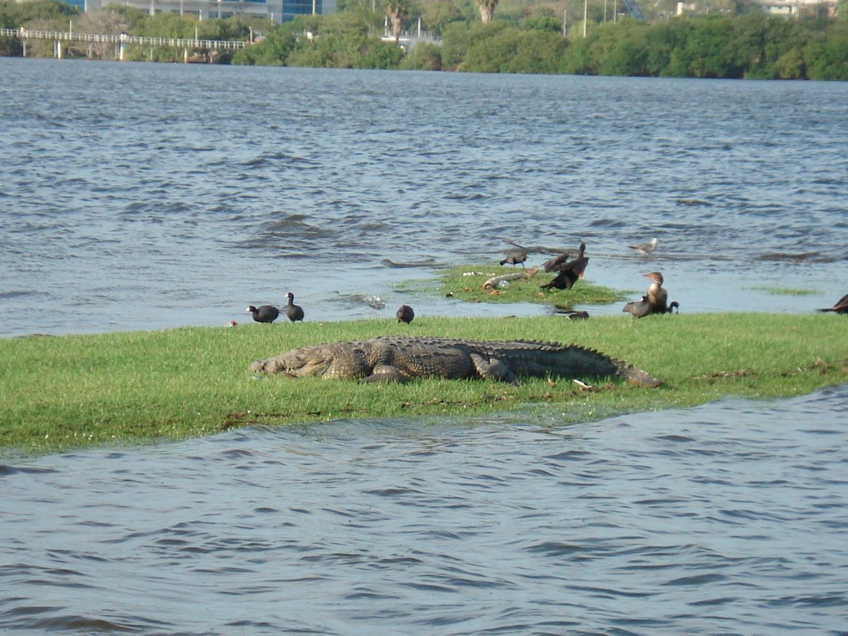 Place Laguna del Carpintero