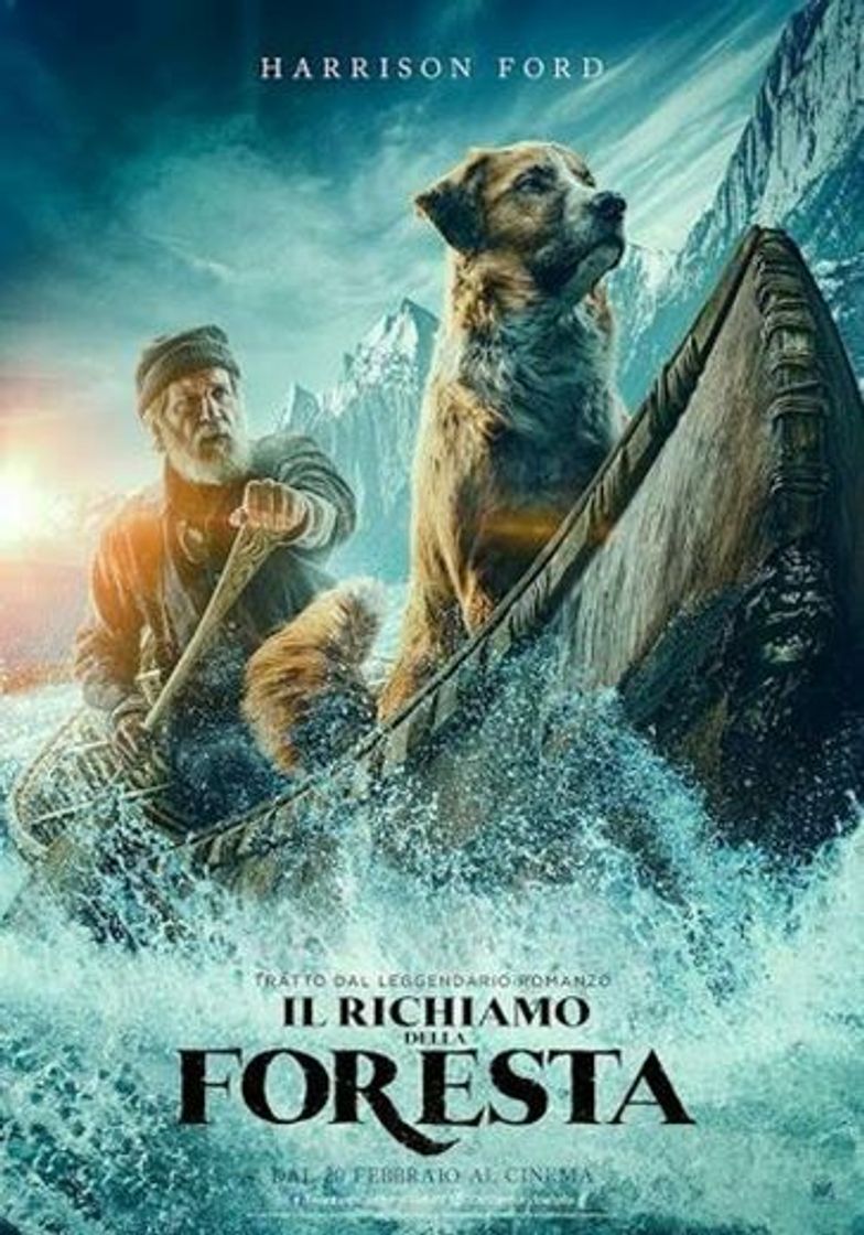 Película Il richiamo della foresta