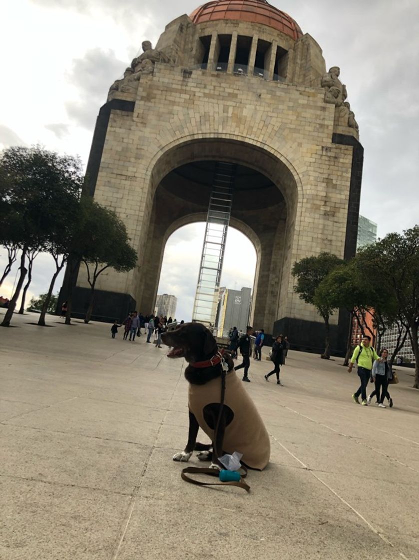 Lugar Monumento a la Revolución