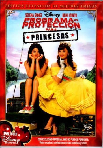 Programa de Protección de Princesas 👸 