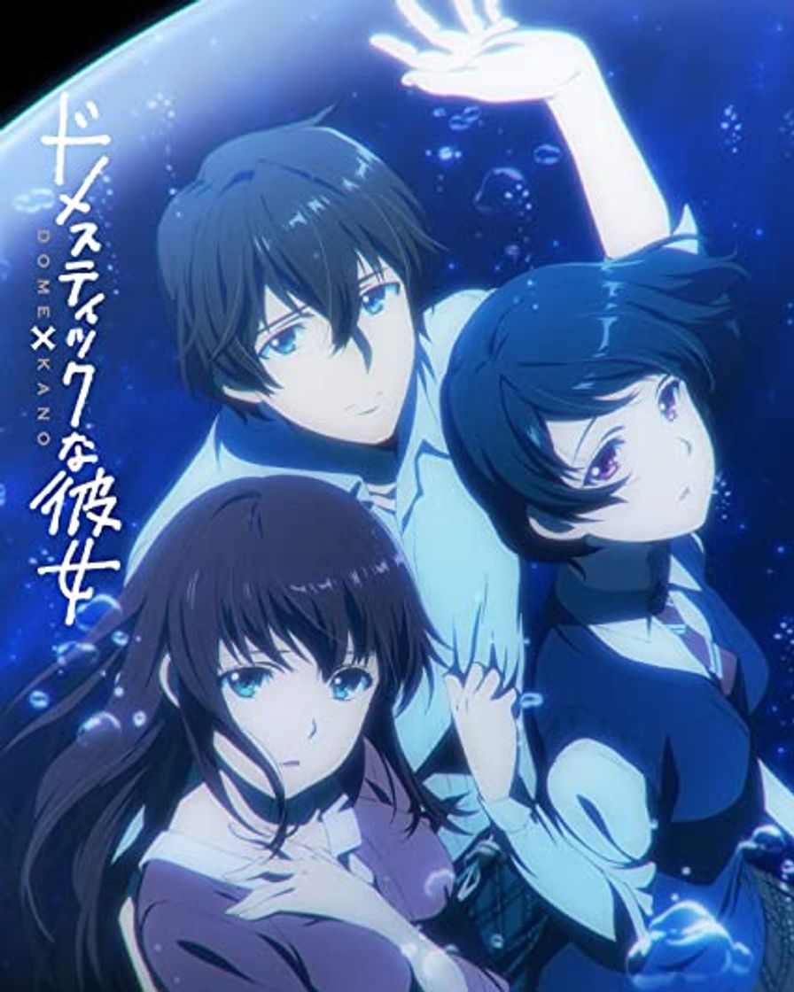 Serie Domestic Girlfriend