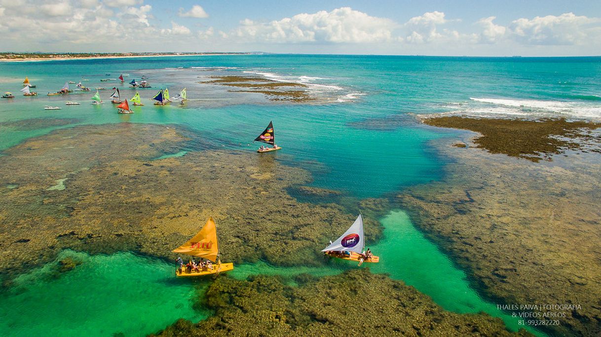 Place Porto de Galinhas