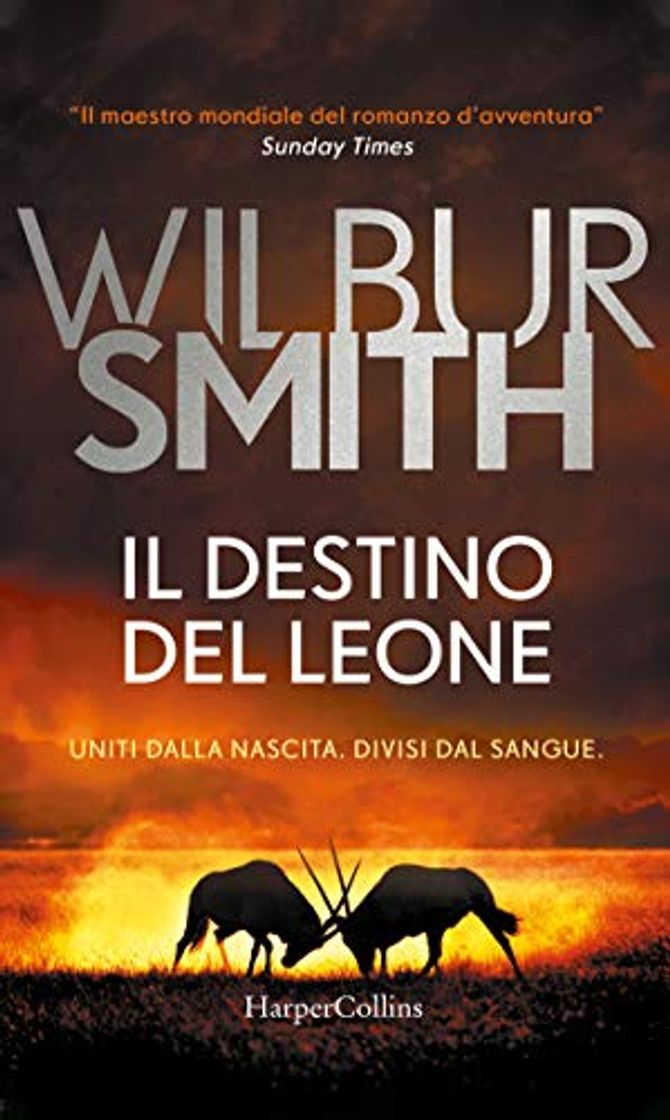 Book Il destino del leone