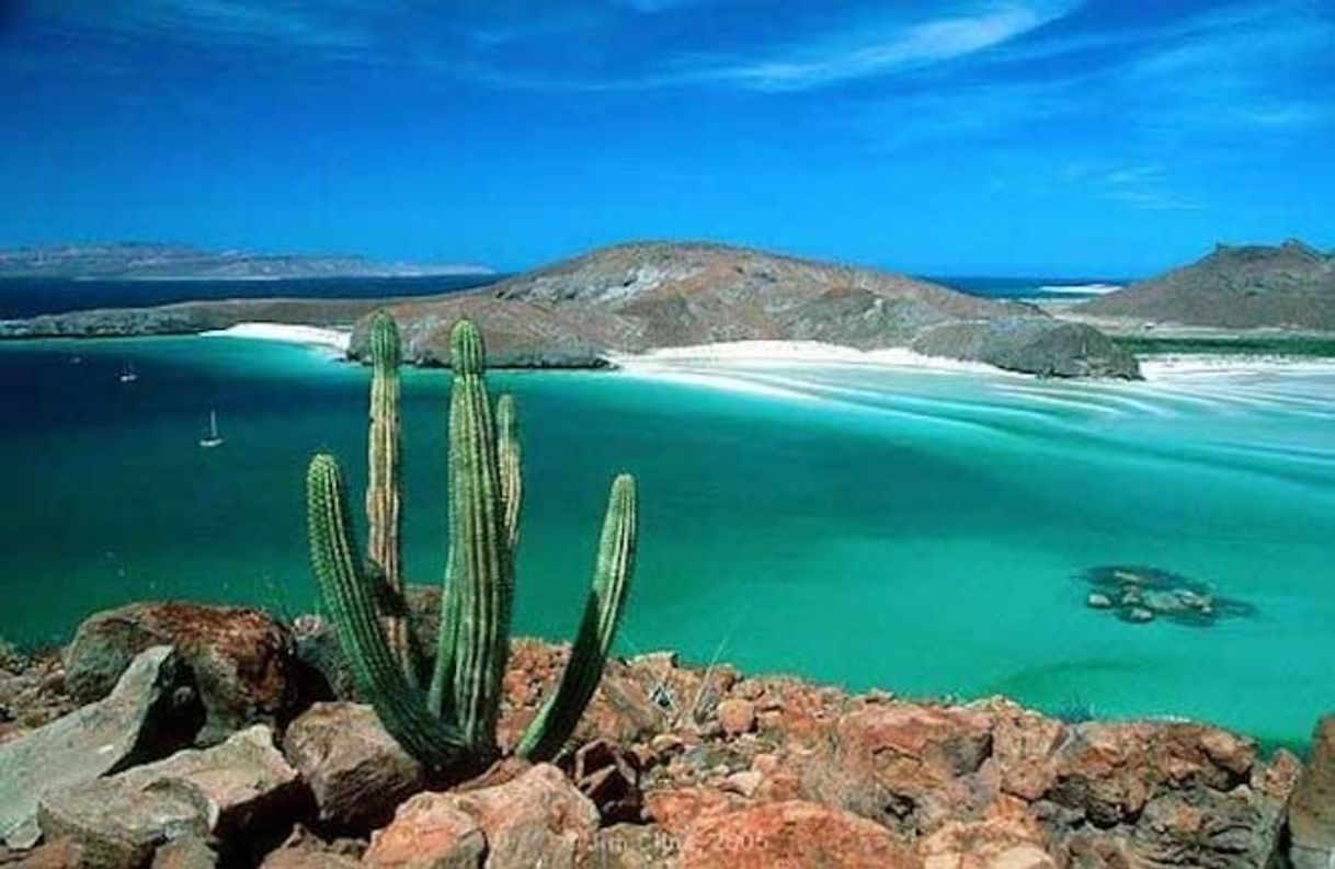 Place Baja California Sur