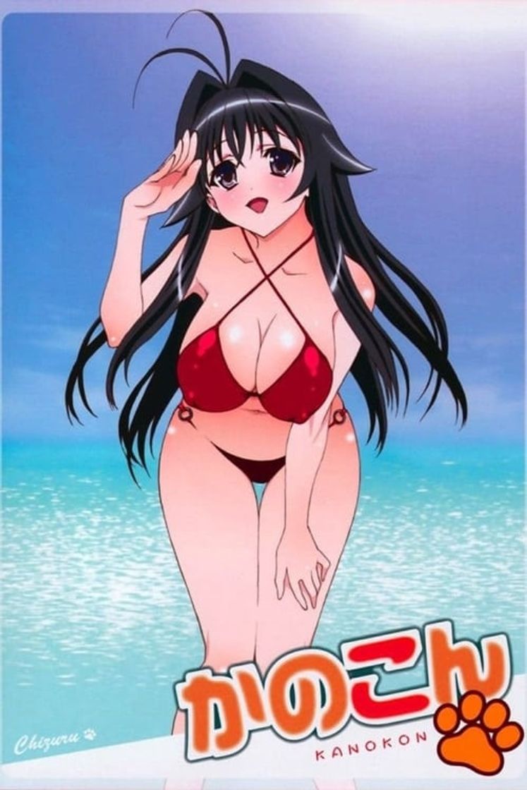 Serie Konakon