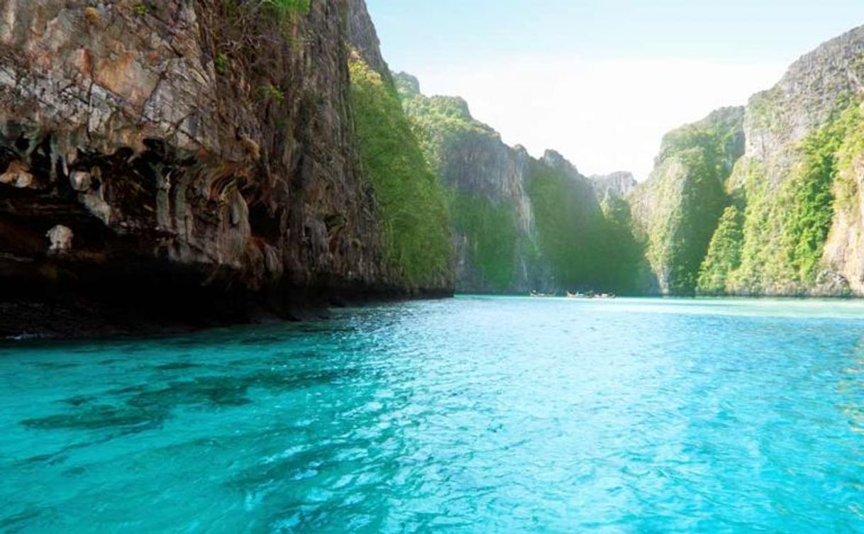 Lugar Playa Phi Phi