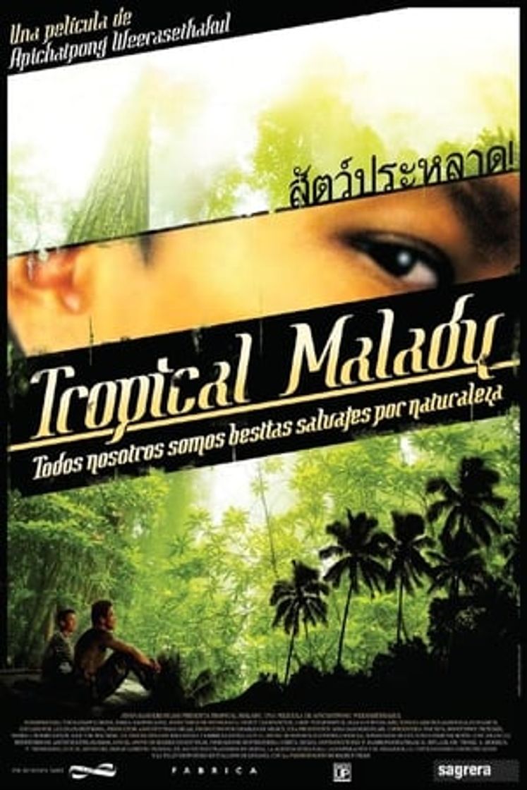 Película Tropical Malady