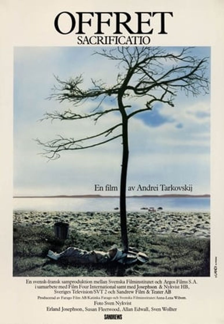 Película Sacrificio