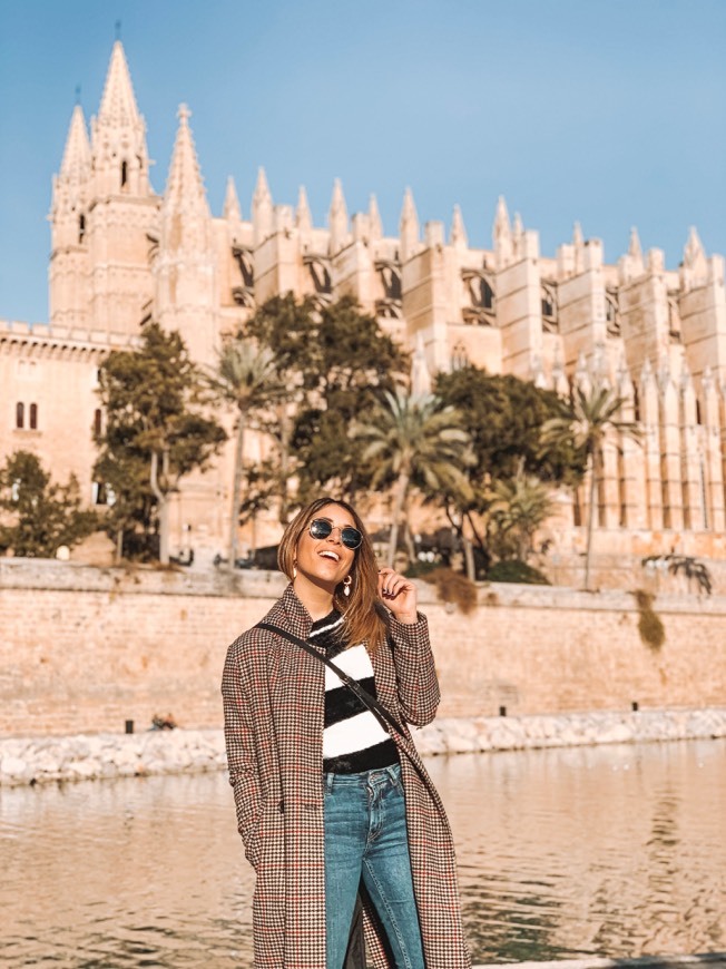 Lugar Catedral-Basílica de Santa María de Mallorca