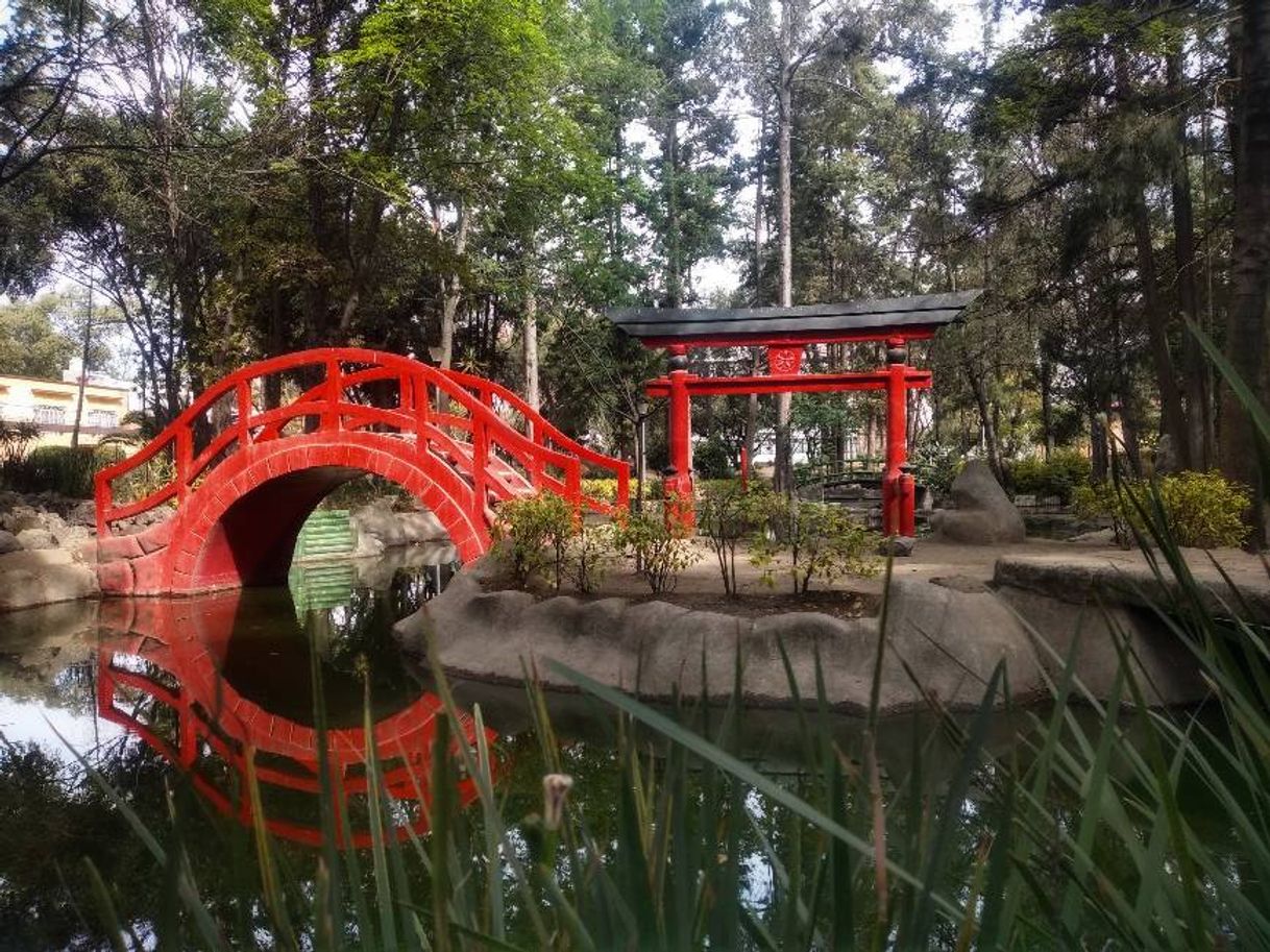 Lugar PARQUE MASAYOSHI OHIRA