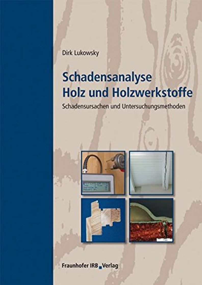 Books Schadensanalyse Holz und Holzwerkstoffe