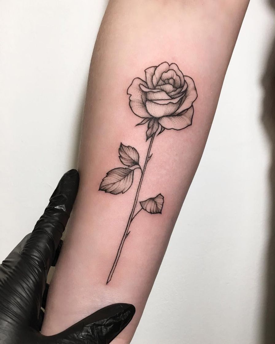 Moda Tatuagem de rosa