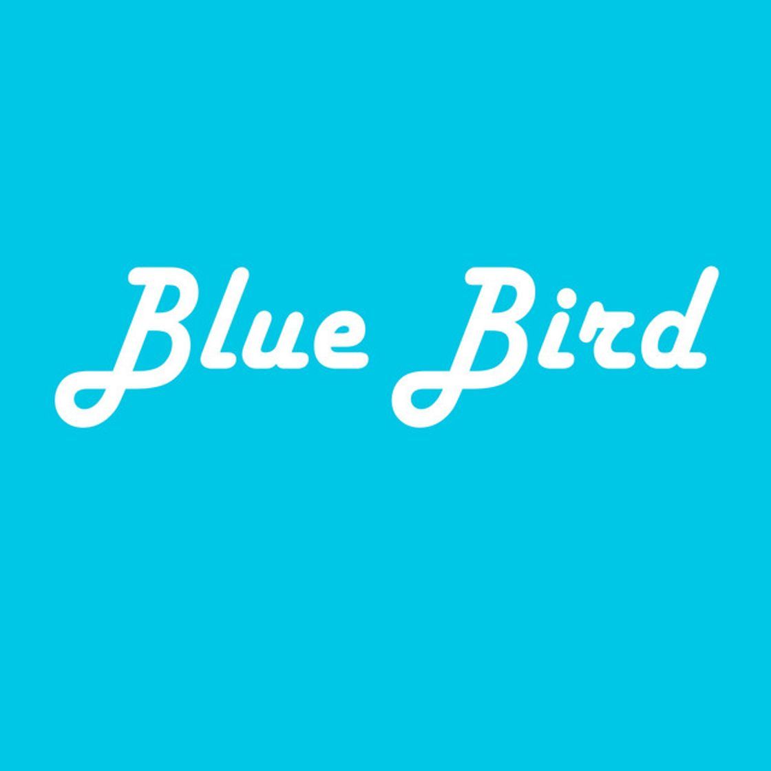 Canción Blue Bird