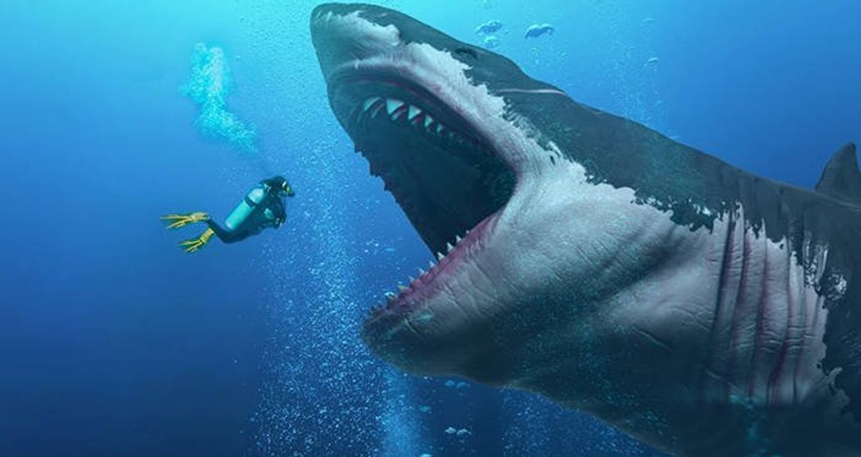 Movie Megalodon