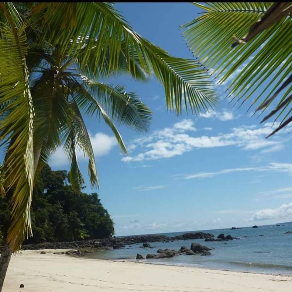 Lugar Isla de Coiba