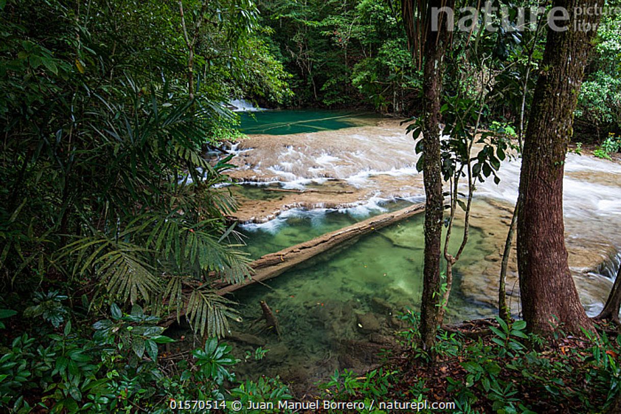 Moda Montes Azules Biosphere Reserve