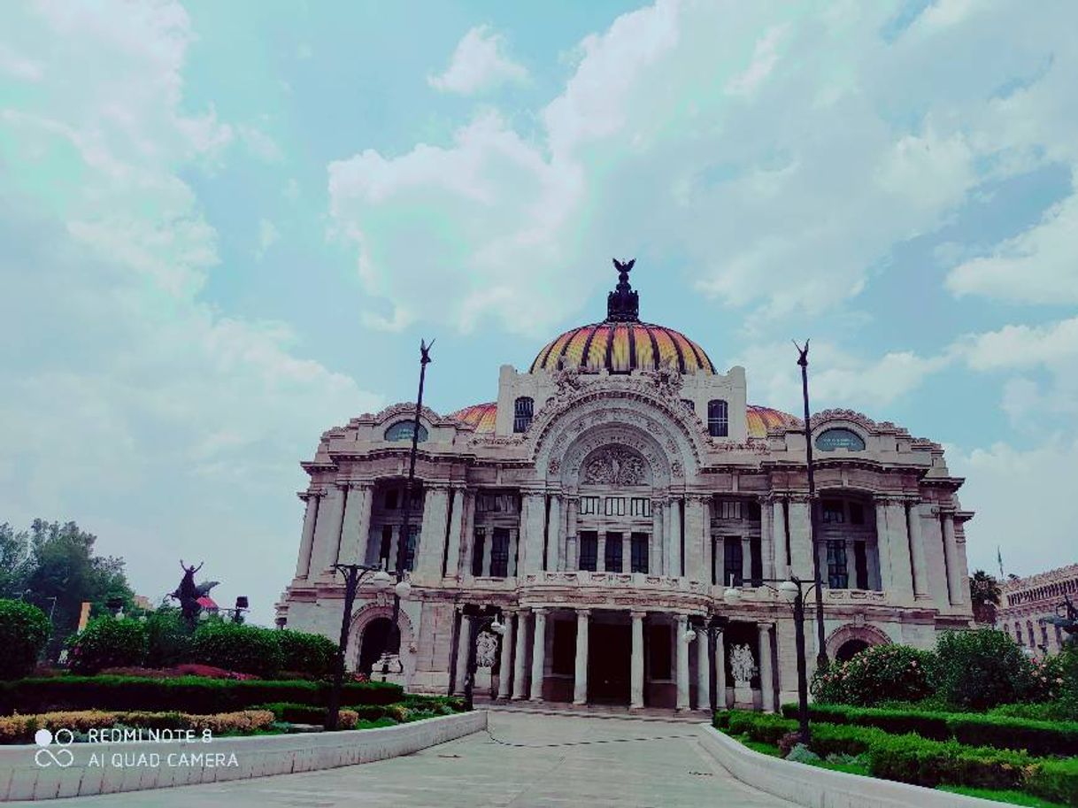 Place Palacio de Bellas Artes