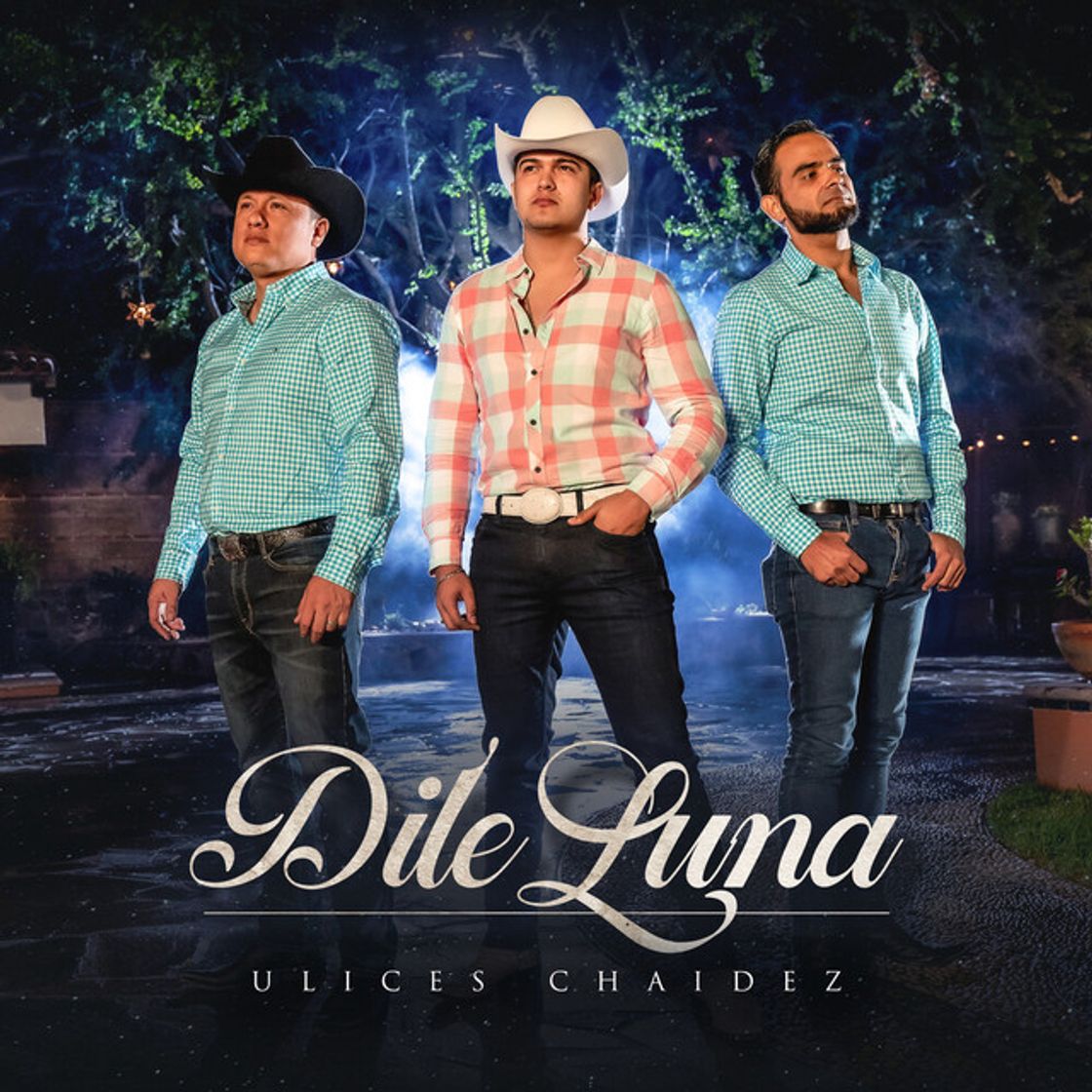 Music Dile Luna