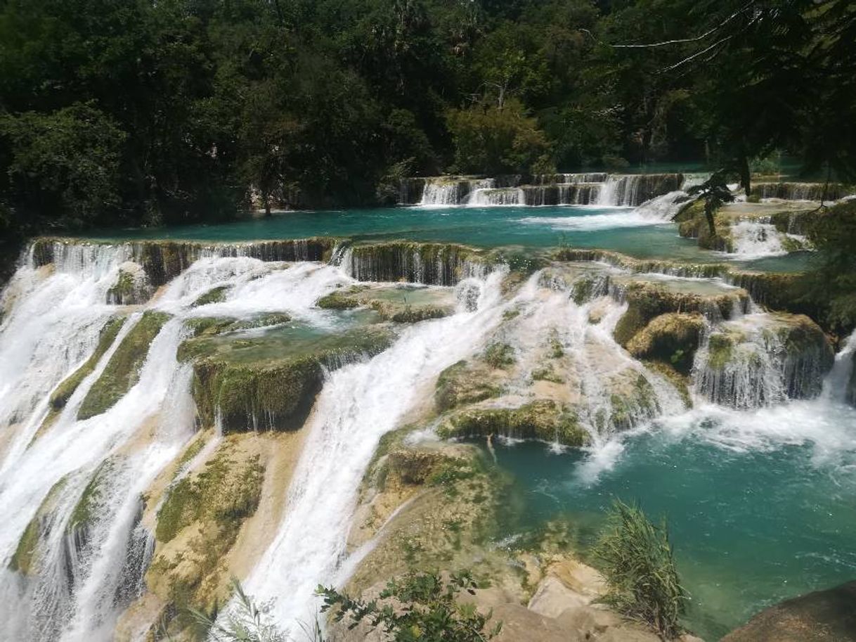 Lugar Huasteca Potosina