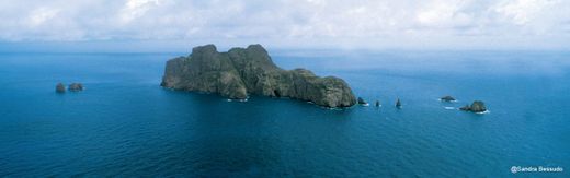 Isla de Malpelo