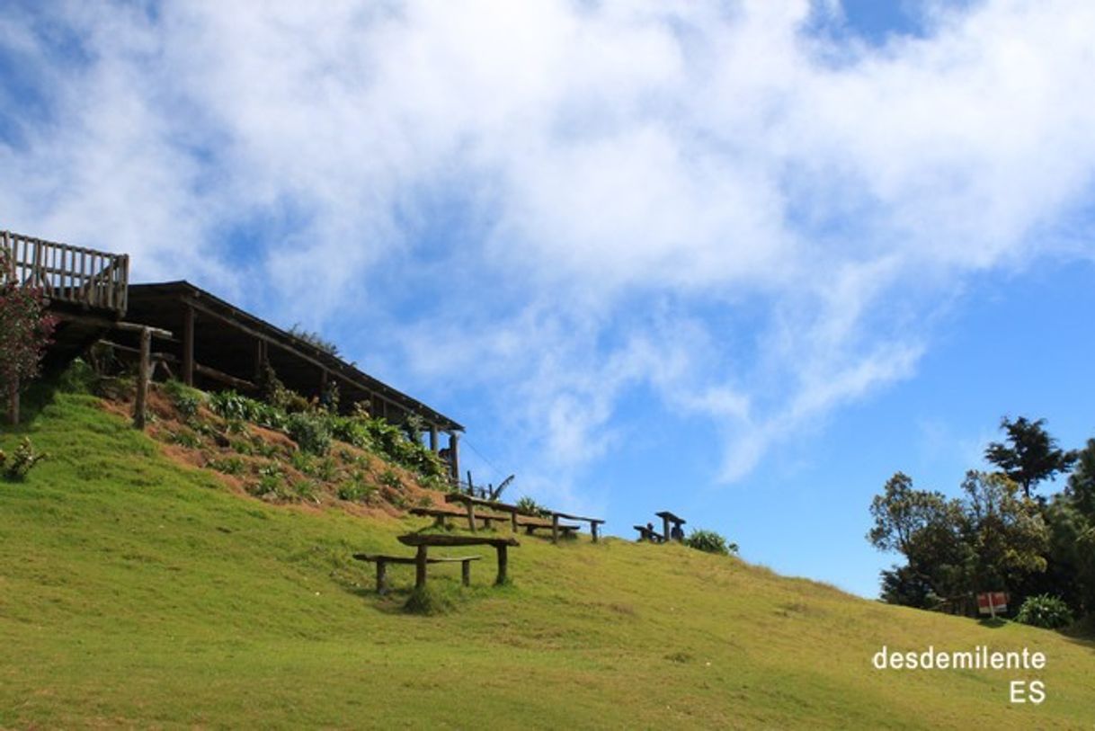 Lugar El Pital Bosque Nebuloso