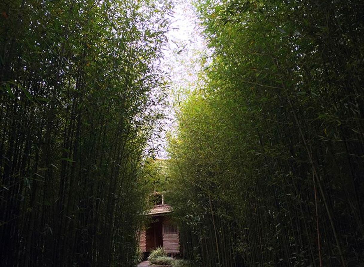 Lugar Jardín Botánico Lankester