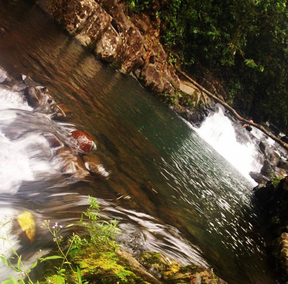 Lugar Sucre