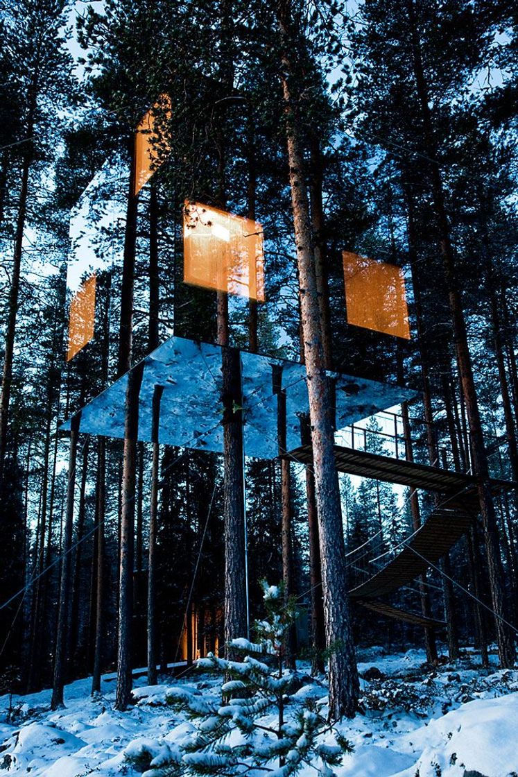 Fashion Hotel del arbol suecia