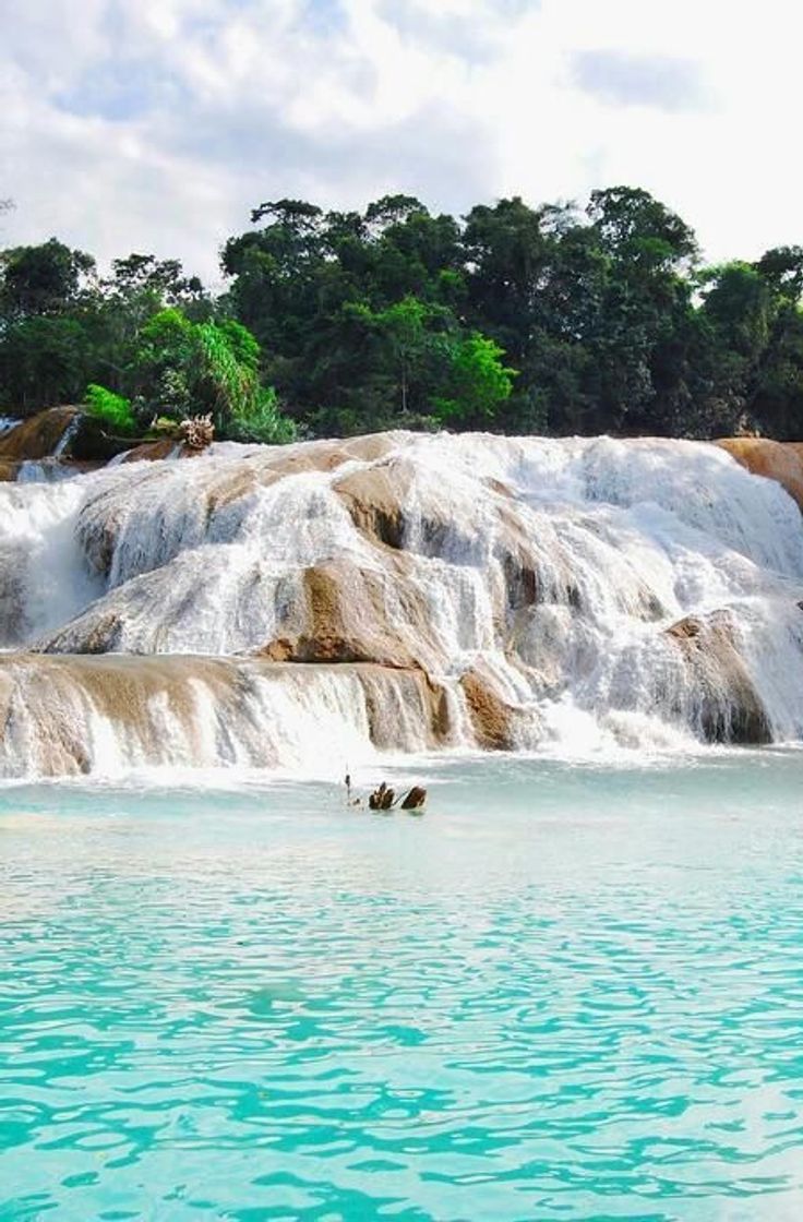 Place Cascadas de Agua Azul