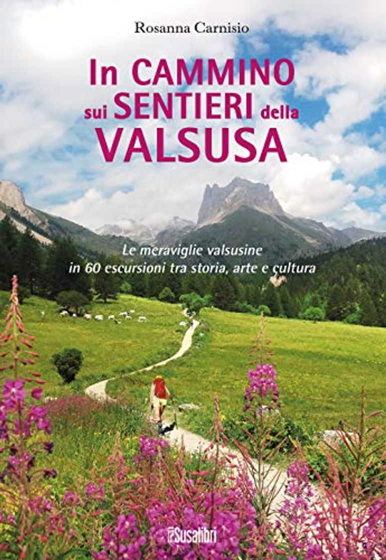 Libro In cammino sui sentieri della Valsusa