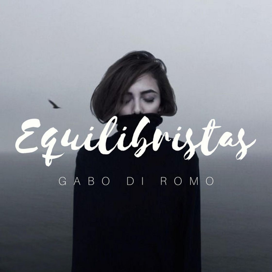 Canción Equilibristas