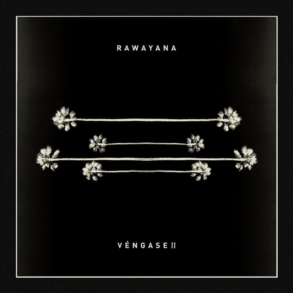 Music Véngase Ii