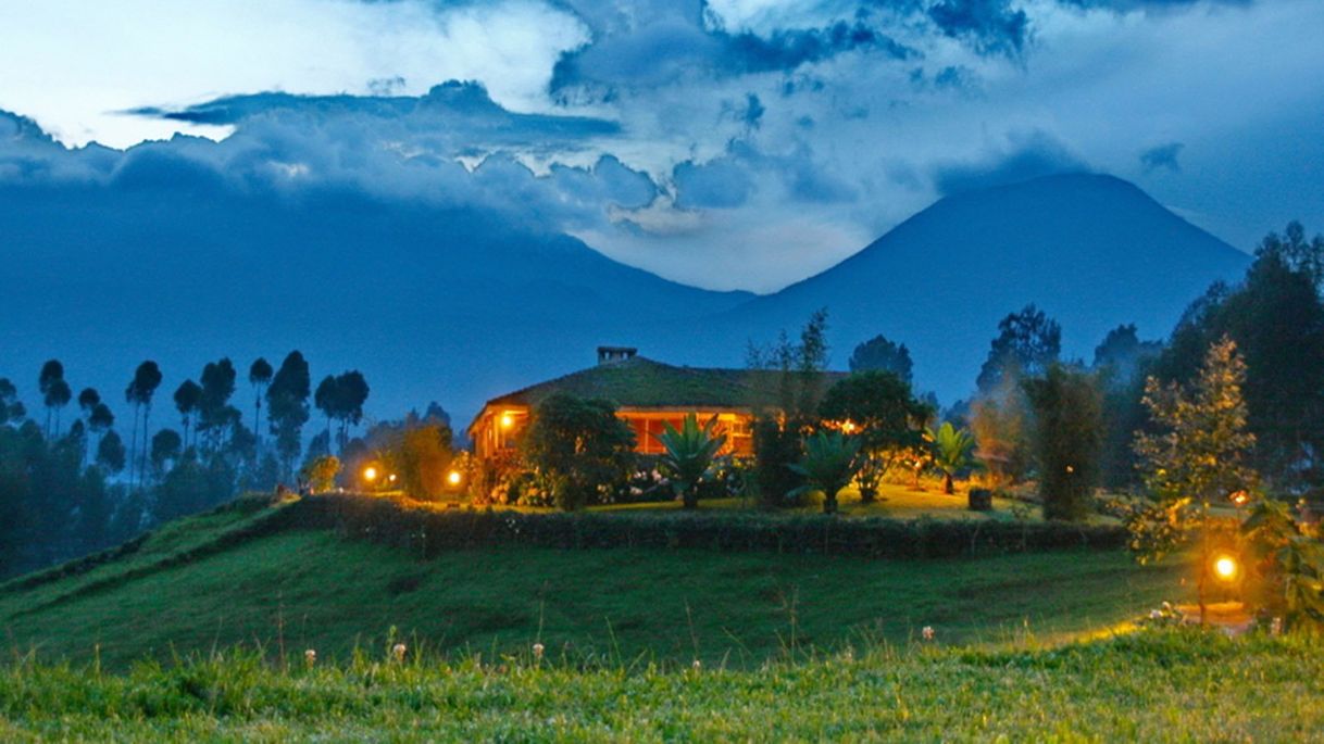 Social Nyungwe Forest Lodge | Rwanda Gorilla Safaris | Africa Odyssey