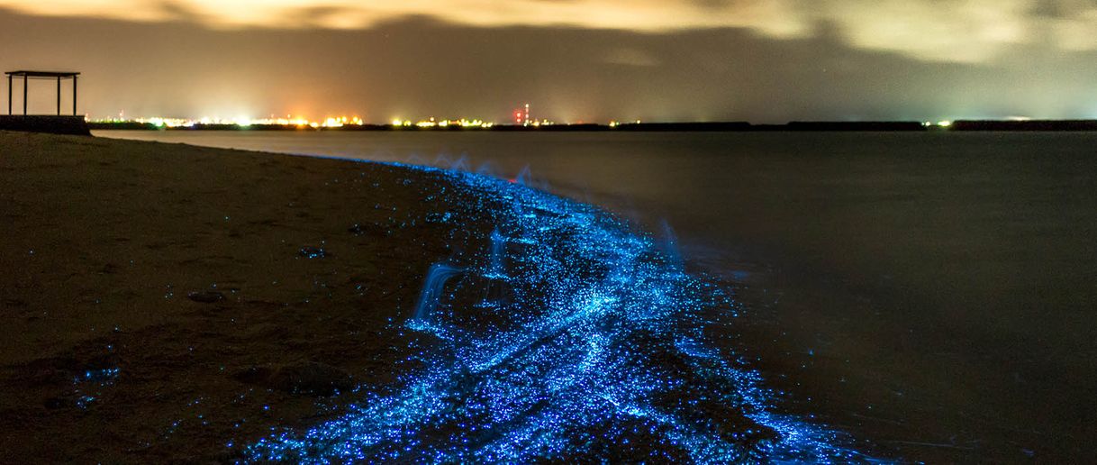 Place Praia Vaadhoo