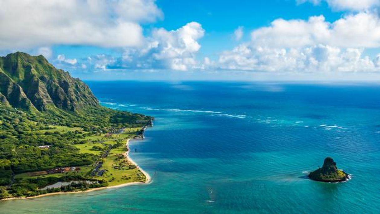 Place Oahu