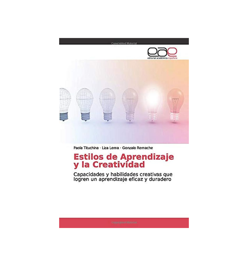 Book Estilos de Aprendizaje y la Creatividad