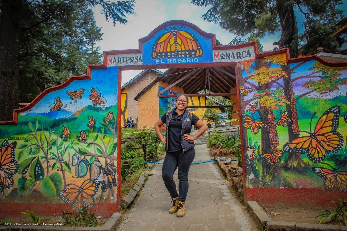 Lugar Santuario de la Mariposa Monarca "El Rosario"