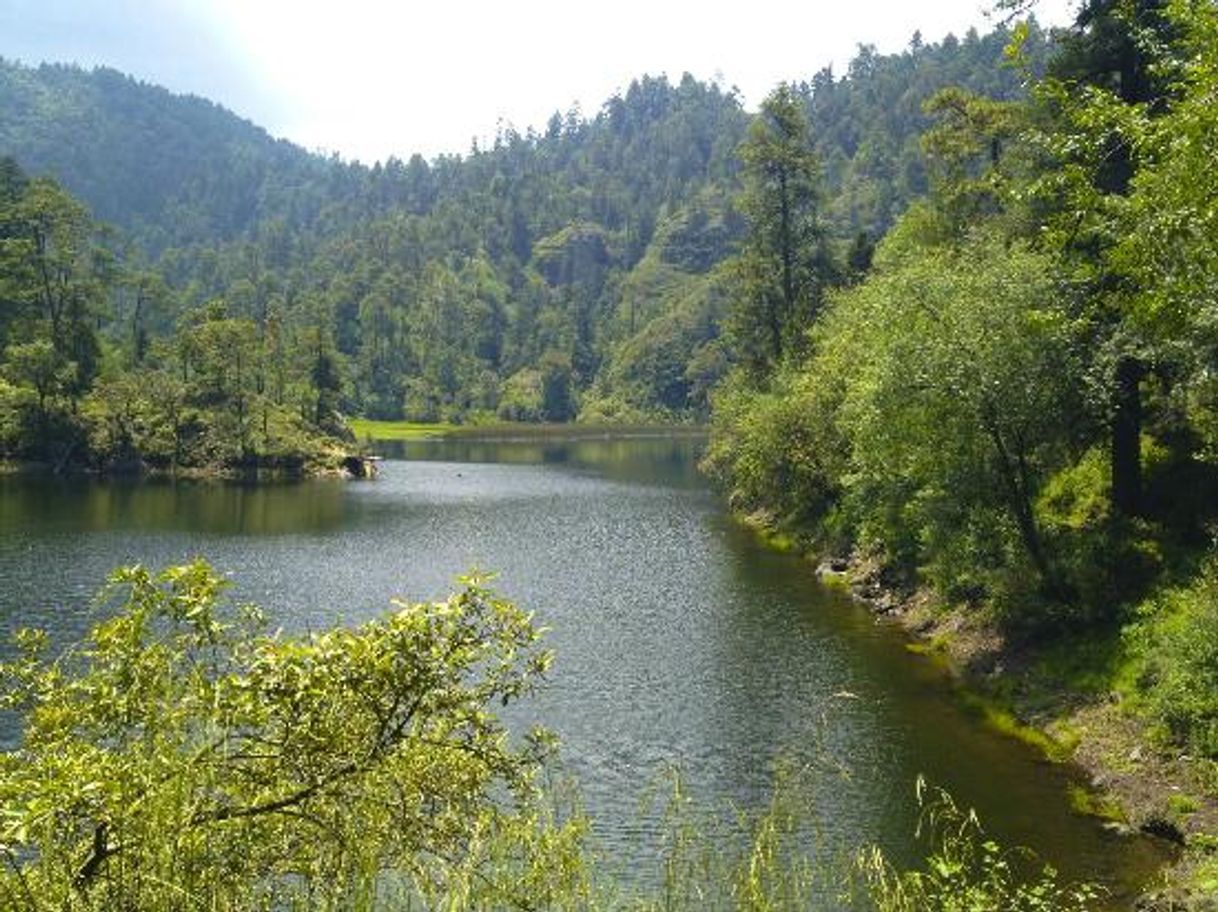 Lugar Lagunas de Zempoala
