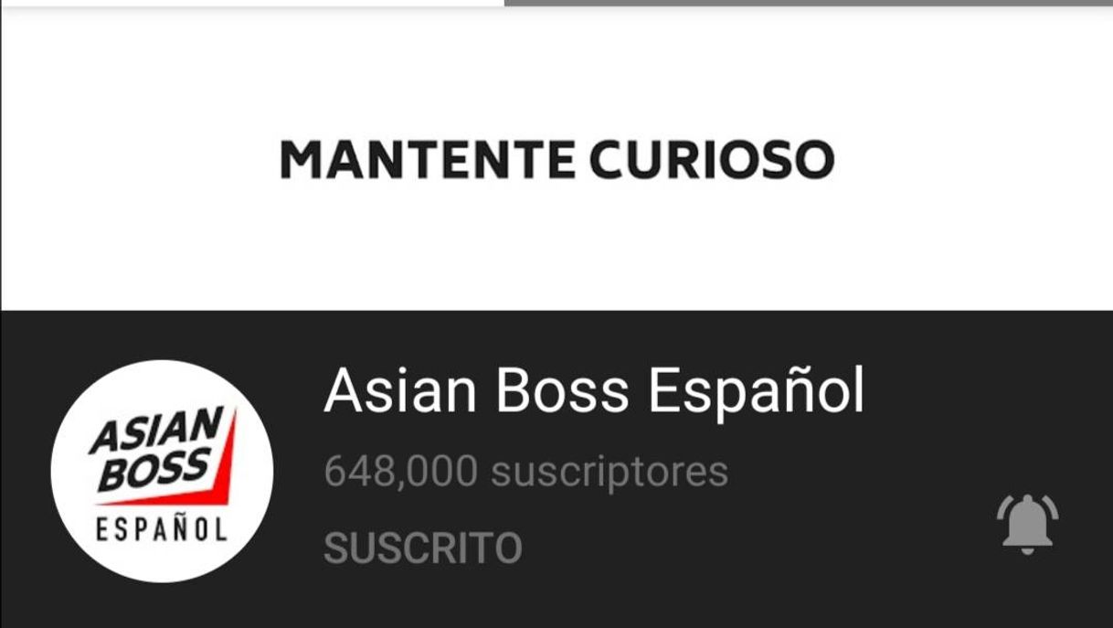 Fashion Asian Boss Español - YouTube