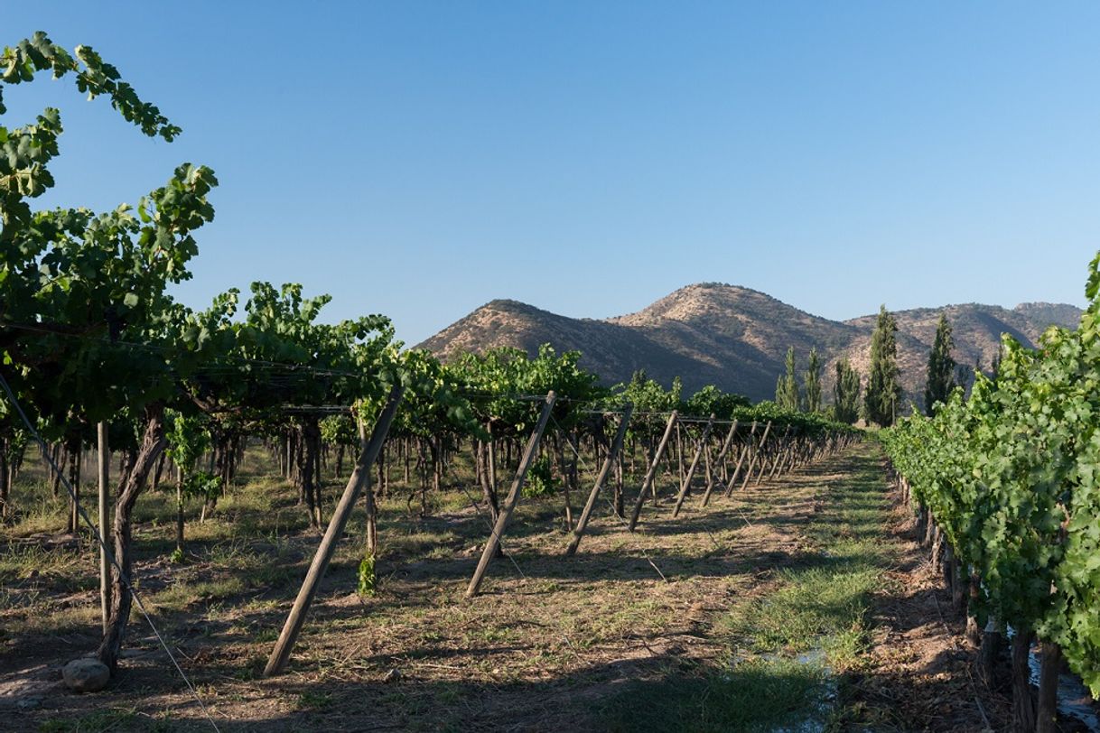 Lugares Isla de Maipo