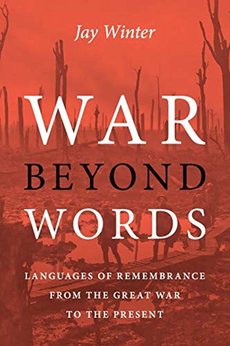 Libro War beyond Words