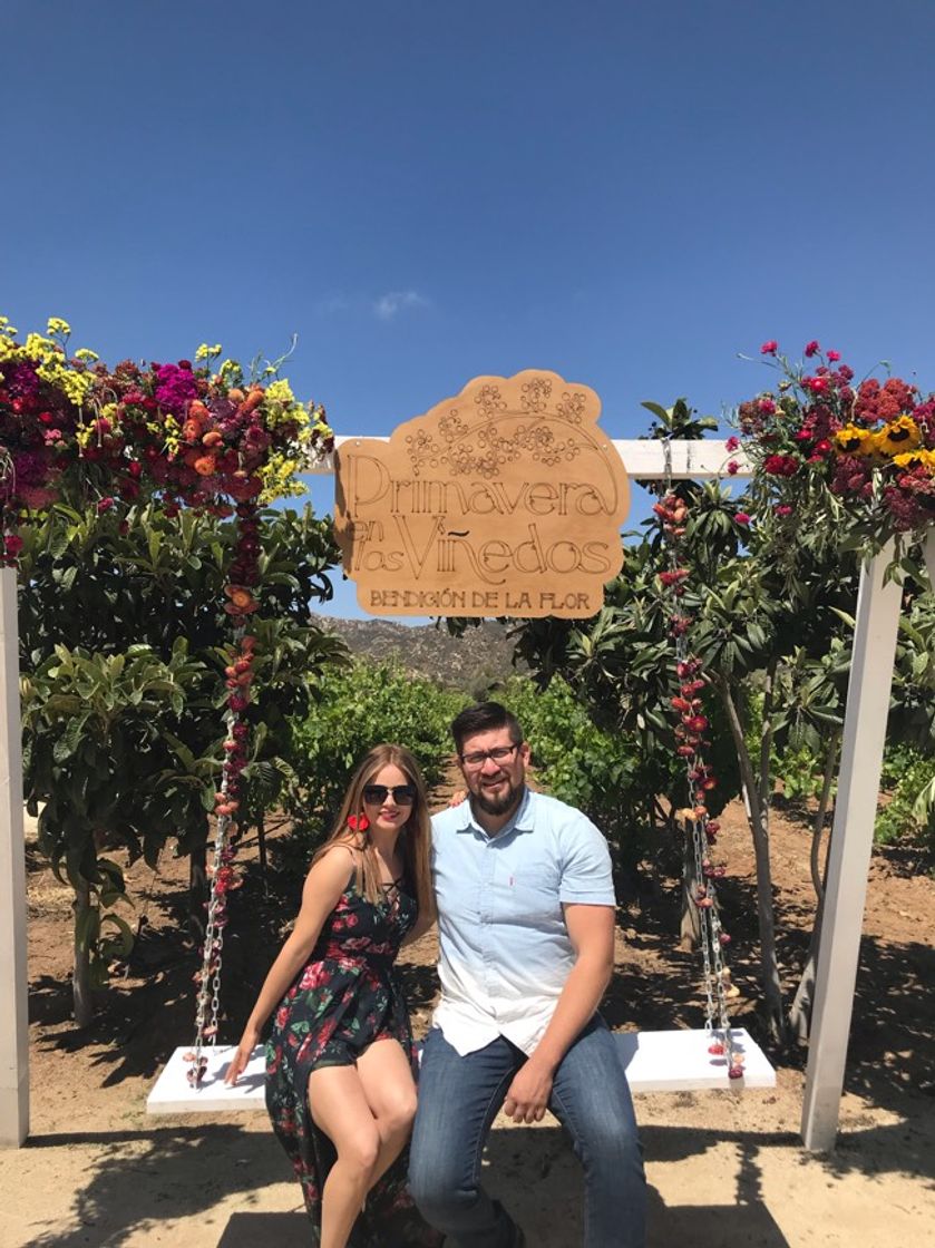 Lugar Valle de Guadalupe